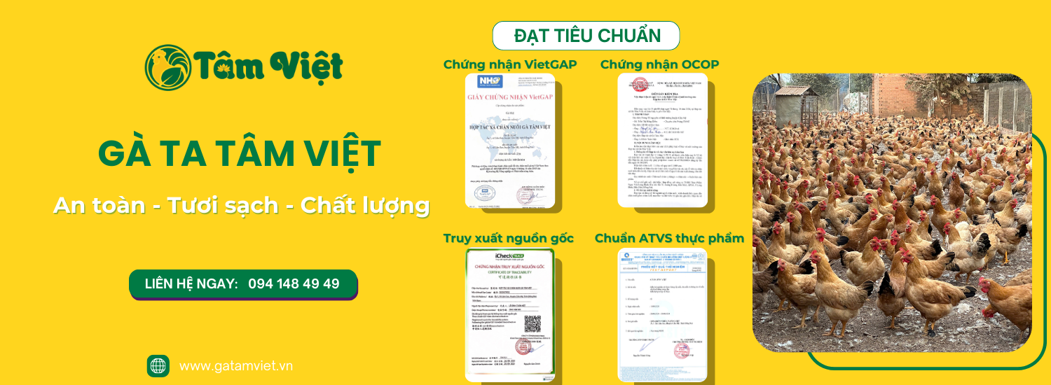 Banner chuẩn Gà Tâm Việt