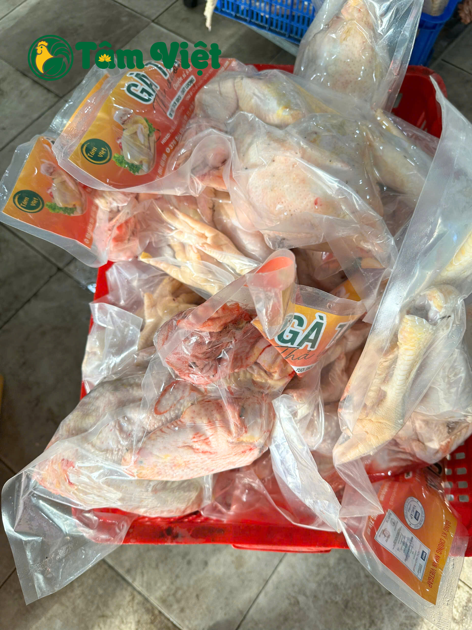 Thịt Gà Ta Tâm Việt
