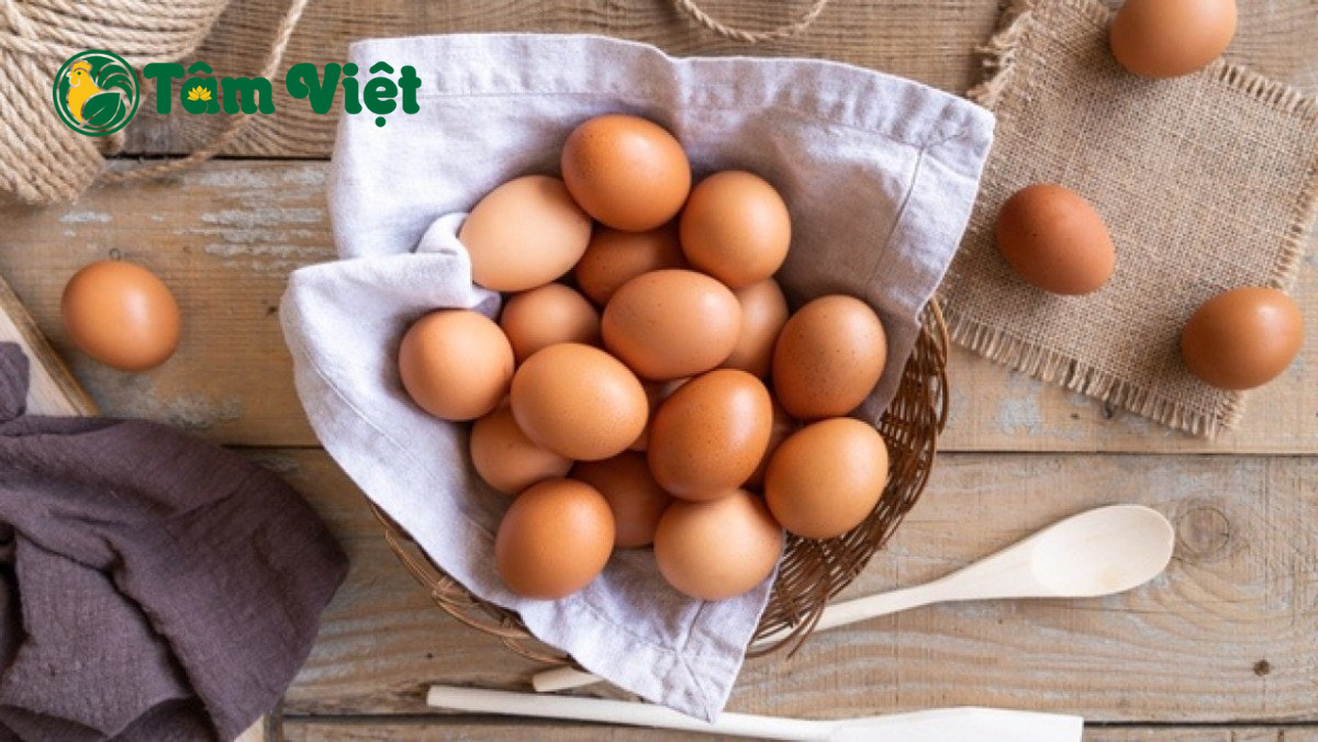 Trứng gà tốt cho sức khỏe